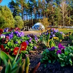 Glamping Pod Orlem Cedynia