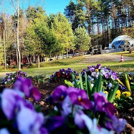 ラグジュアリーテント Glamping Pod Orlem