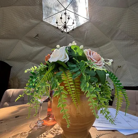 Glamping Pod Orlem