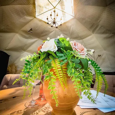 Glamping Pod Orlem Cedynia