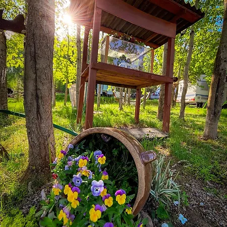 Glamping Pod Orlem Cedynia