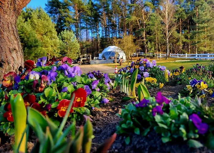 Glamping Pod Orlem Cedynia